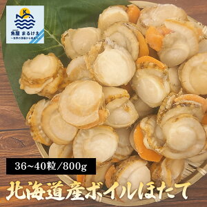 {Cق kCY 2S 800g 嗱 ق z^e  o[xL[ BBQ H Ⓚ o K e o^[Ă CN