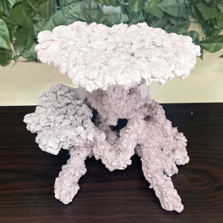 楽天市場】オリジナル 人工ライブロック サイズ：20cm (高)×24cm (横 
