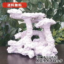 楽天市場】人工 ライブ ロック 販売の通販
