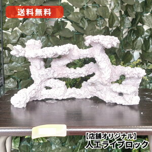 IWi lHCubN TCYF18.5cm ()×37.3cm ()× 17.5cm ()yǗԍFLR01089zTSEXEECubN