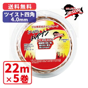 S[foC\cCXglpE4.0mmy22mz×5vpiCR[h@ە@}P