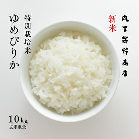 【先着200円OFFクーポン】新米 特別栽培米 ゆめぴりか 10kg (5kg×2袋) 北海道深川市音江産 玄米 白米 分づき米 令和7年産 米 お米 送料無料 送料込み 真空パックに変更可