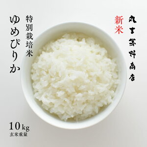 yVāzʍ͔| ߂҂肩 10kg (5kg×2) kC[s]Y   Â ߘa7NY     ^pbNɕύX