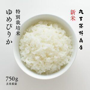 V ʍ͔| ߂҂肩  750g 5 kC[s]Y   Â ߘa7NY     |Cg