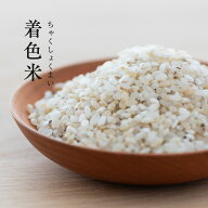 着色米 色付き米 10kg (5kg×2袋) 送料無料 小鳥用米 餌米 エサ米 くず米 ◎小鳥のエサにおすすめ ×食用…