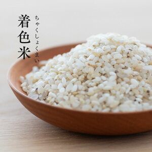 くず米 10kg」の人気商品一覧 | 安い商品を通販サイトから探す - 価格.com
