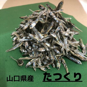  RY 40g Y   ܑ ώ []