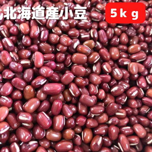  kCY 5kg ߘa6NY  p 2   ` Ԕ \ Œ ͂ r ǂ p  [5kg]