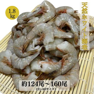  VRzCgCV 124`160 31/40TCY 900g×21.8kg Ⓚ CV GrtC VՂCV Ⓚ ⓀGr Gr` o[xL[ mVRzCgсn