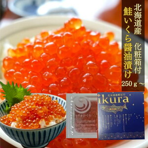kCY  ݖЂ250g 3lO  CN Mtg Ε   ̓ ̓ [kC250g]