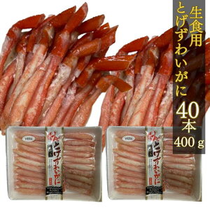 gQYCKj |[V 40{480g 80{960g {C Ƃ킢 Hp I|[V VՂ T_ Ԃ I Jj YC Mtg Ε 񂹃O Hi ߂ [Ƃ