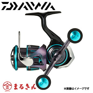 _C G_X RX LT2500-XH-DH XsjO[ DAIWA EMERALDAS ėp GMO _unh ނ tBbVO