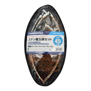 v} XeʖԃZbg AFF200 ga45cm