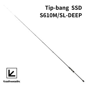 tailwalk eBbvo Tip-bang SSD S610M/SL-DEEP eBbv GMO AICJ ނ  bh