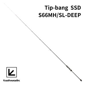 tailwalk eBbvo Tip-bang SSD S66MH/SL-DEEP eBbv GMO AICJ ނ  bh