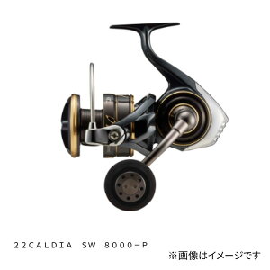 _C 22 JfBA SW (CALDIA SW) 8000-P