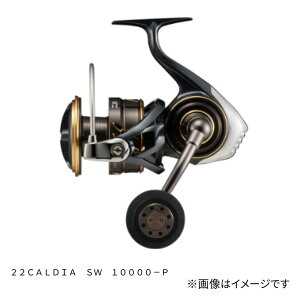 _C 22 JfBA SW (CALDIA SW) 10000-P