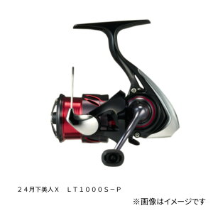 _C 24 l X (GEKKABIJIN X) LT1000S-P