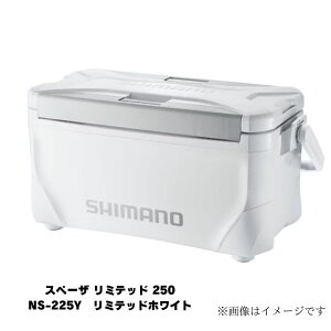 V}m Xy[U ~ebh 250 NS-225Y ~ebhzCg N[[{bNX AEghA X|[c ۗ 