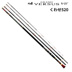 ܐ Oho[TXV2 킹520 Α CV_C ꕨ