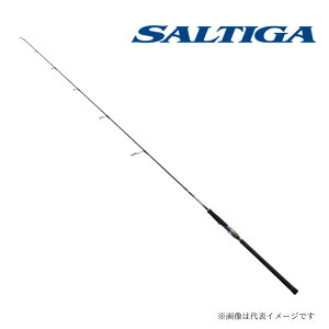 _C \eBK R J60S-3 HI XsjObh WMObh q}T  u ItVAWMO SALTIGA R DAIWA