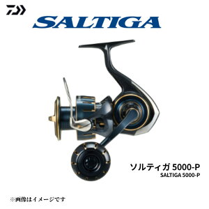 ダイワ 23 ソルティガ 5000-P スピニングリール SW オフショア ジギング パワーギア モノコックボディ MCタフデジギア DAIWA