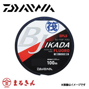 _C BJCJ_t 1.75 100m tJ[{ Cޖx CJ_