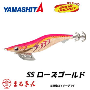}V^ GM K 3.5 X[p[V[ [YS[h GMO