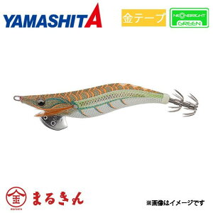 }V^ GM LIVE lIuCg 3.5 Xp[NI[u GMO