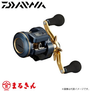 ダイワ ソルティガ IC 100PL-DH (リール) 価格比較 - 価格.com