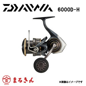 22JfBA SW 6000D-H WMO 