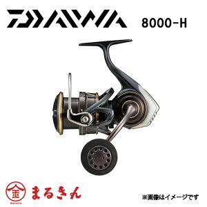 22カルディア ダイワ 22 カルディア SW 8000-H スピニングリール ショアジギング オフショアジギング オフショアキャスティング 青物 釣り フィッシング DAIWA CALDIA SW