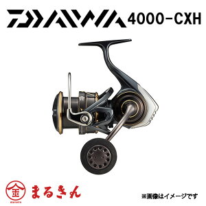 22JfBA SW 4000-CXH WMO 