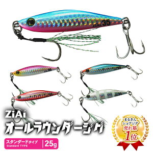 ZiAiWO X^_[h 25g 63mm ނ tBbVO ^WO S  RXp މʃAbv VAWO VAWM CgWMO I[Eh \gEH[^[ qX u T