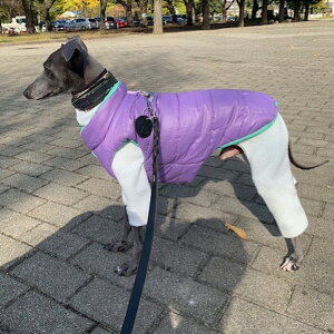 @@@̕@hbOEFA@g@_E@WPbg@xXg@h@~@H~@iC@o[Vu@@킢@@@^@^@L