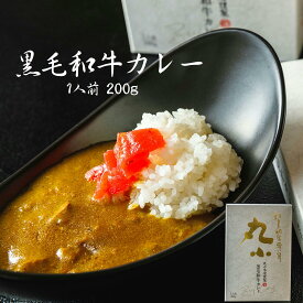 お試し 丸小特製黒毛和牛カレー 1パック 1000円ポッキリ ギフト 誕生日 お祝い 丸小 老舗 和牛 国産 A5 最高ランク 贈答 お歳暮内祝 高級 プレゼント お取り寄せグルメ カレー 食べログ高評価 黒牛 日本一 景品 目録 肉屋 お肉屋さん 長期保存 備蓄 送料無料 メール便
