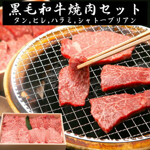 јaē ^ n~ q Vg[uA Mtg a j a  Y ċ A5 ōN  ̂ bZ[WJ[h j  v[g 񂹃O BBQ _炩 