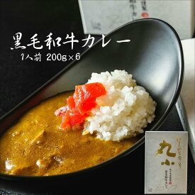黒毛和牛 丸小特製カレー 送料無料 ギフト 誕生日 お祝い 老舗 和牛 国産 A5 贈答 内祝 高級 プレゼント お取り寄せグルメ カレー 食べログ高評価 黒牛 日本一 景品 目録 肉屋 お肉屋さん 長期保存 備蓄 熨斗