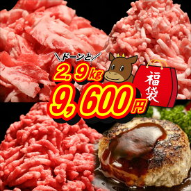 お肉の福袋 2026 メガ盛り 2.9kg お得 あいびきハンバーグ 黒毛和牛切り落とし 合挽きミンチ お取り寄せグルメ 詰め合わせ 大容量 肉惣菜 便利 食品 肉 グルメ 送料無料 長期保存 焼くだけ 便利 個包装 時短【1月以外 1日限定販売】