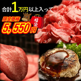 お肉の福袋 2026 メガ盛り1.3kg 半額 お得 あいびきハンバーグ 黒毛和牛切り落とし 薄切りタン お取り寄せグルメ 詰め合わせ 大容量 肉惣菜 便利 食品 肉 グルメ 送料無料 赤身 バラ 合挽き 焼肉 焼くだけ 長期保存 楽天限定 のし メッセージカード【1月以外 1日限定販売】