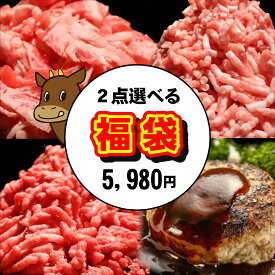 【月間優良ショップ受賞】＼選べる／お肉の福袋 メガ盛り 豚ひき肉 牛ミンチ あいびきハンバーグ 黒毛和牛切り落とし 合挽 お取り寄せグルメ 詰め合わせ 大容量 肉惣菜 便利 食品 肉 グルメ 送料無料 長期保存 焼くだけ 便利 個包装 時短 楽天限定