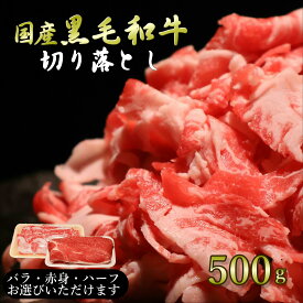 【月間優良ショップ受賞】お試し 送料無料 小分け 黒毛和牛切り落とし 500g 赤身 ウデ 牛切り落とし 切り落とし 使い切り 牛肉 新鮮 肉屋 便利 ストック 家庭料理 老舗 プレゼント 生活応援 一人暮らし 国産 安全 お取り寄せ 安い 和牛 すき焼き バーベキュー