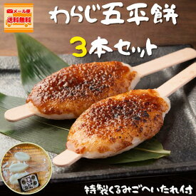 【わらじ五平餅3本セット(くるみごへいたれ付)】1000円ポッキリ 送料無料 ごへいもち くるみ 胡麻 ピーナッツ 飛騨美濃すぐれもの 餅 わらじごへい 朝ドラ 岐阜県 恵那市 ふるさと マルコ醸造