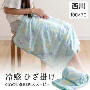 冷感 タオルケット 子供の人気商品 通販 価格比較 価格 Com 冷感 タオルケット 子供の人気商品 通販 価格比較 価格 Com