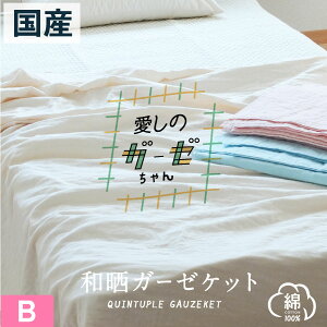 Y aN K[[Pbg xr[TCY { aN K[[Pbg Ԃ 炩 Rbg K[[ uPbg xr[ j   n Vv Ċ| I[V[Y