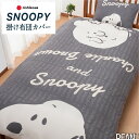 ポイント5倍 西川 スヌーピー 掛け布団カバー シングル 掛けカバー西川リビング snoopy かけカバー シングル 単品 シワがつきにくい ふとんカバー コットン キャラクター 総柄 シンプル デザイナーズ オールシーズン おしゃれ