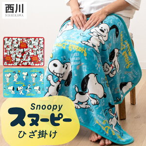  Ђ| uPbg Xk[s[ g ӂӂ a SNOOPY LN^[  G| n[t uPbg ѕz 􂦂 EHbVu qp uPbg QPbg