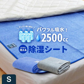 【本日⇒P3倍】【驚異2500ml！パワフル吸水!!】除湿シート シングル 洗える調湿シート 吸湿シート 除湿パッド 吸湿パッド 調湿パッド シングル 洗える 洗濯機 使用可能 シリカゲル 敷きパッド