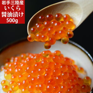 瑢40L]N }RVސ 茧Y ݖЂ 500g 2 CN 芪i 嗱   Mtg