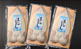 【3パックセット】三陸産 真イカの一夜干し 食べごたえあります「大」サイズ 【同梱商品】【イカ】【するめいか】【スルメイカ】BBQ、バーベキュー、キャンプ
